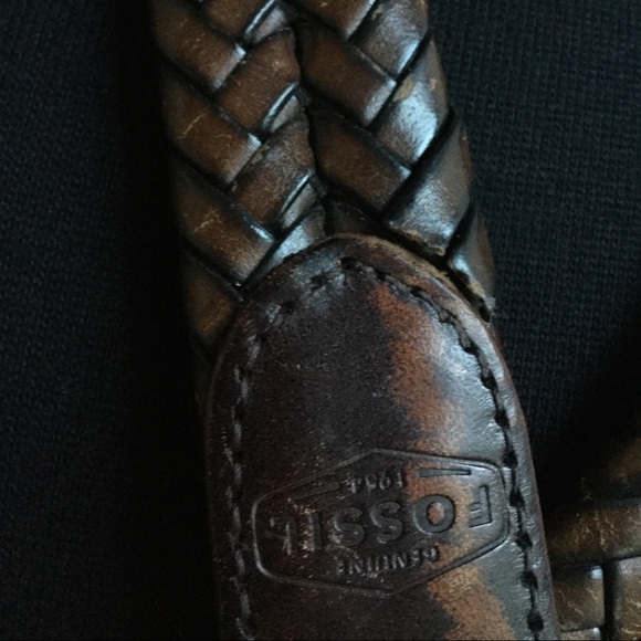 Fossil Belt - Picture 5 of 9